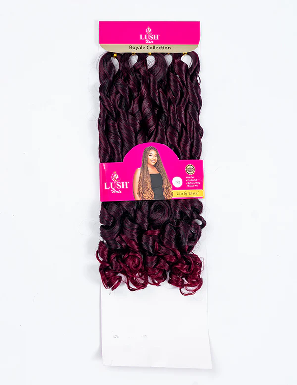 Curly Braids - Image 14